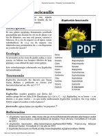 Euphorbia Fascicaulis - Wikipedia, La Enciclopedia Libre