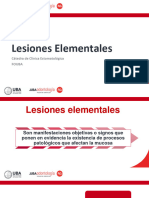 1 Lesiones Elementales 2021