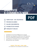 04analyste Ecommerce Web Offre