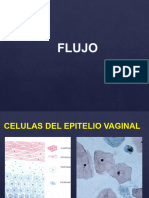 Flujo