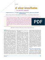 Ojsadmin, 07 System of Wheat Intensification