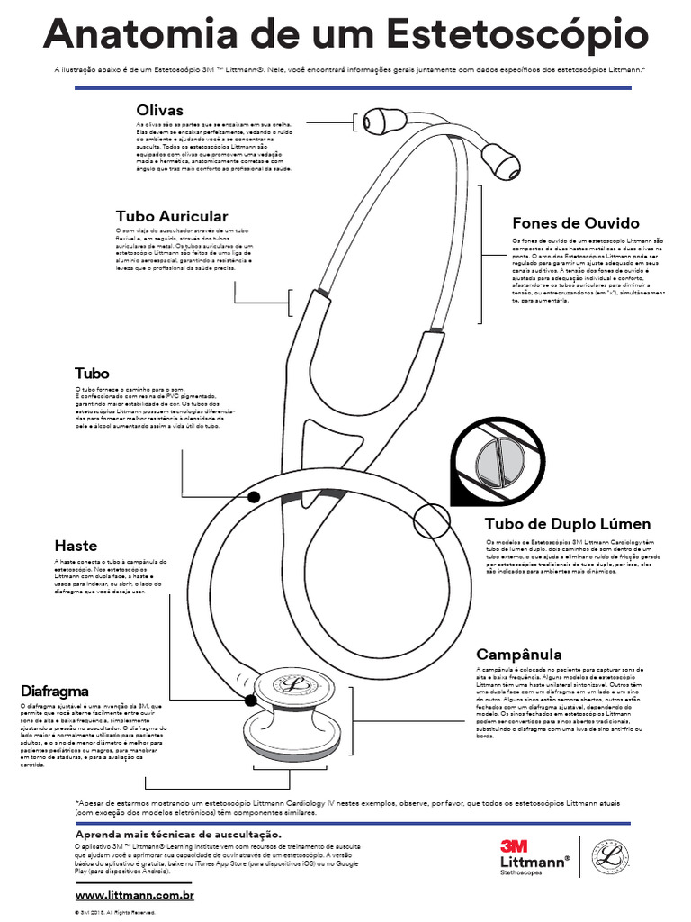 Littmann Anatomy of A Stethoscope Poster PT BR | PDF | Fones de ouvido ...