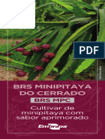 BRS Minipitaya Do Cerrado
