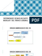 Expo Enfermedades Desmielinizantes Medular y Del Tronco Cerebral