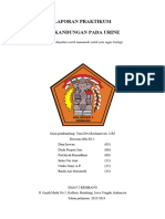 Laprak Urine Biologi-1