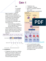 Genética Molecular Humana Transcripciones