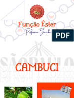 Função Éster