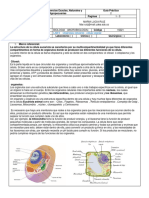 Lab 6 Organelas Celularesa 2024