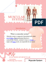 Pink Illustrative The Human Body Presentation