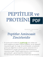 Peptitler ve Proteinler