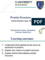 4 - Protein Structure