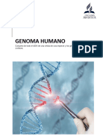 Importancia Del Genoma Humano