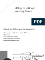 Sexual Reproduction in Flowering Plants