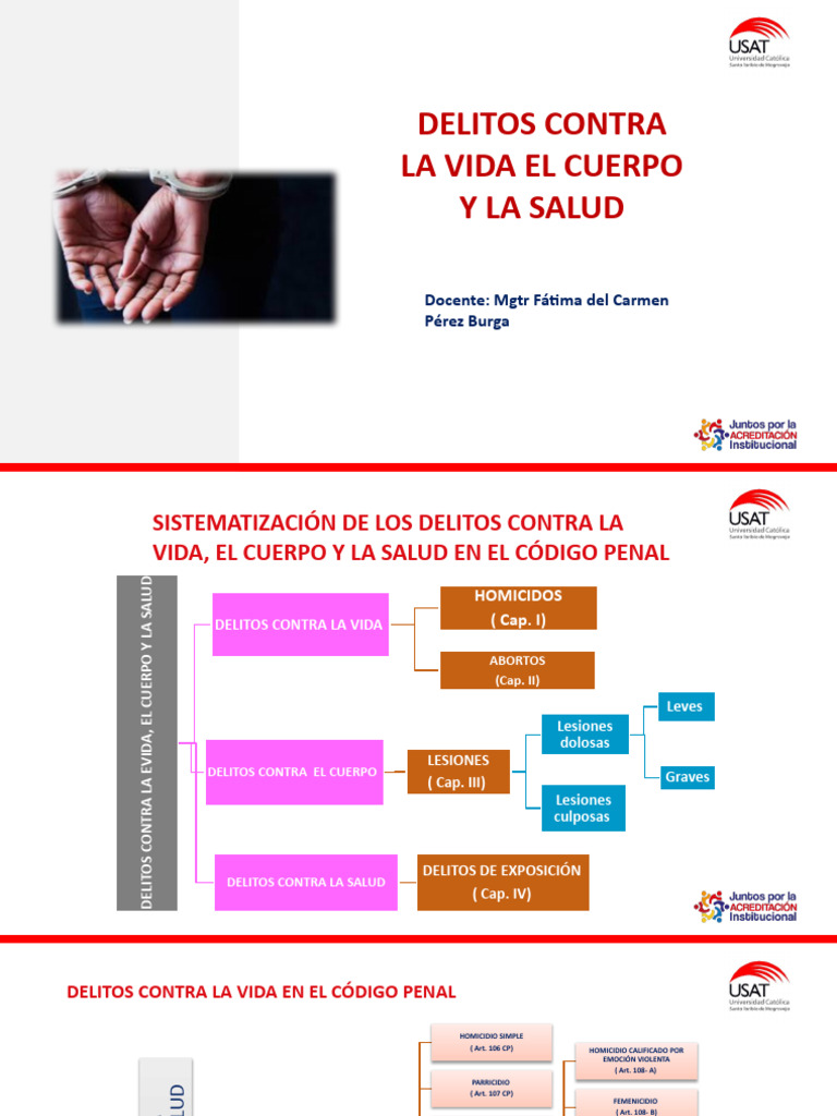 Delitos contra la Vida y Salud Penal | PDF | Homicidio | Derecho penal