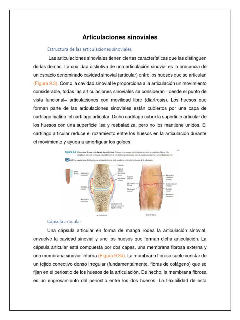 Articulaciones Sinoviales PDF