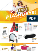 Flashdays! 2 Co PDF
