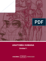 Unidad I - Contenido - Anatomía Humana - 1 - 1155328992