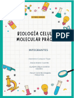 Difusión Del Dióxido de Carbono en El Cuerpo Humano