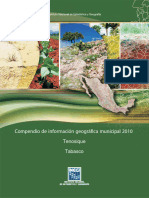 Compendio de Información Geográfica Municipal 2010: Tenosique Tabasco