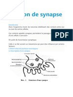 Notion de Synapse