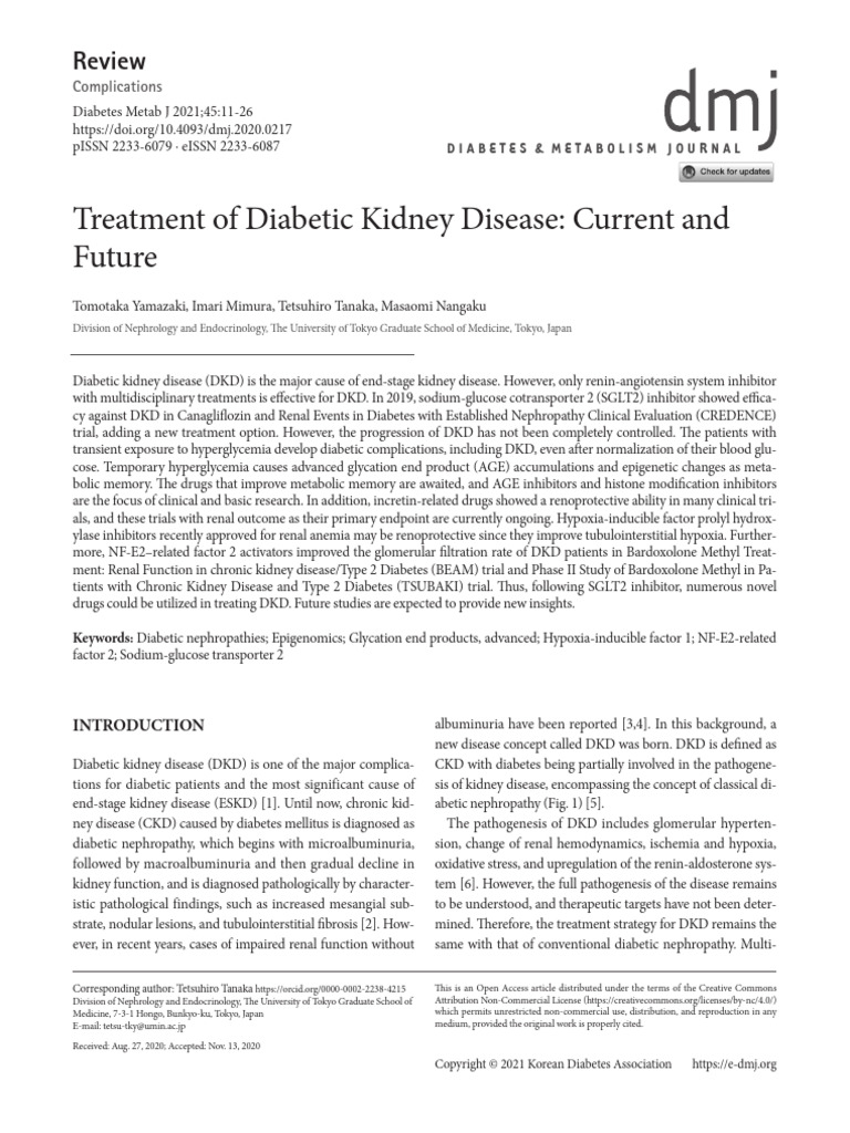 Treatment of Diabetic Kidney Disease Current and | PDF | Chronic Kidney ...