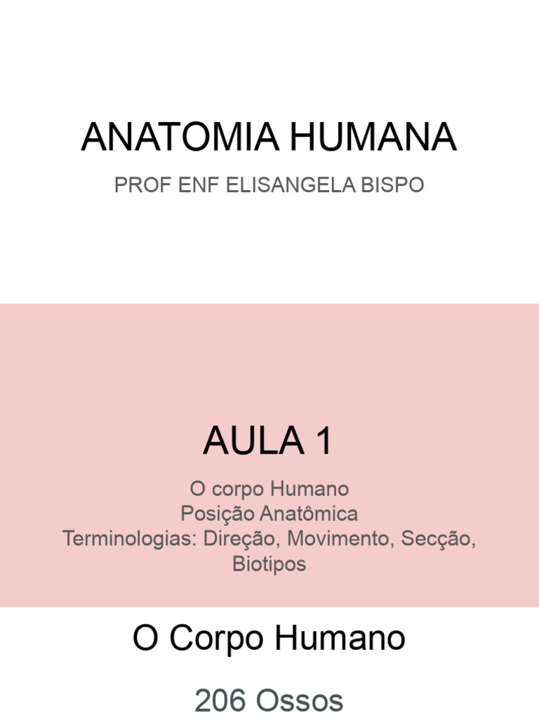 Aula Anatomia Pdf