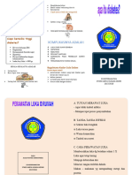 Leaflet Aul 2