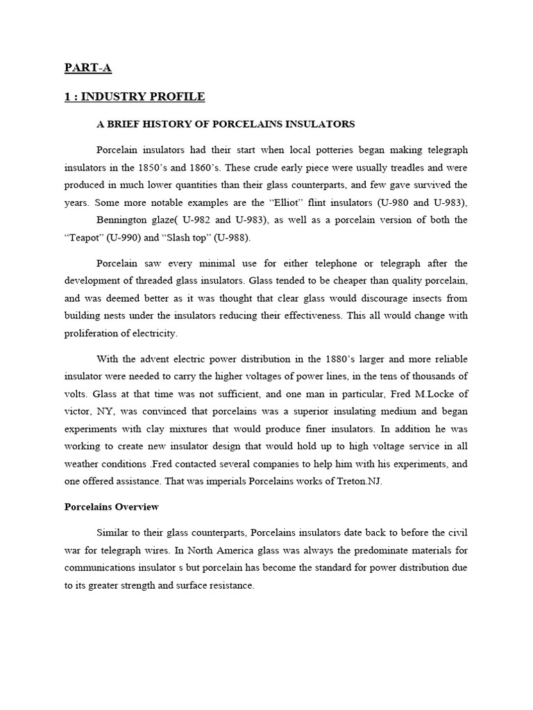 main-project-pdf-insulator-electricity-occupational-safety-and