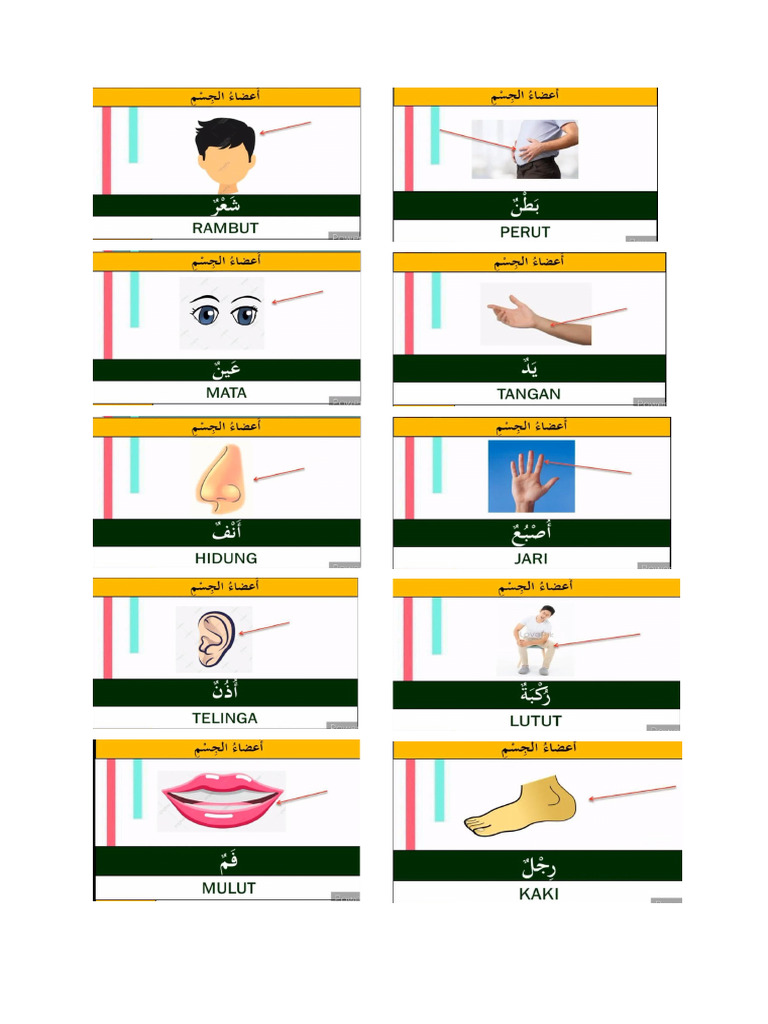 Nota Arab Tahun 1 | PDF