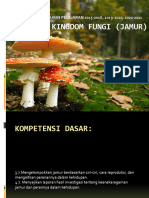 Kingdom Fungi (Jamur)