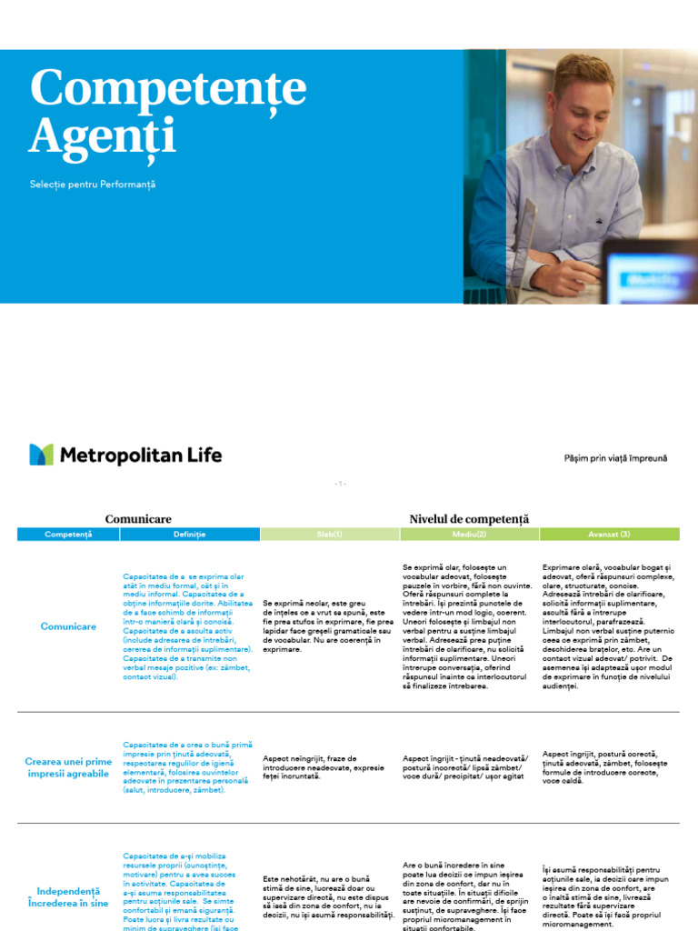 Descriere Competente | PDF