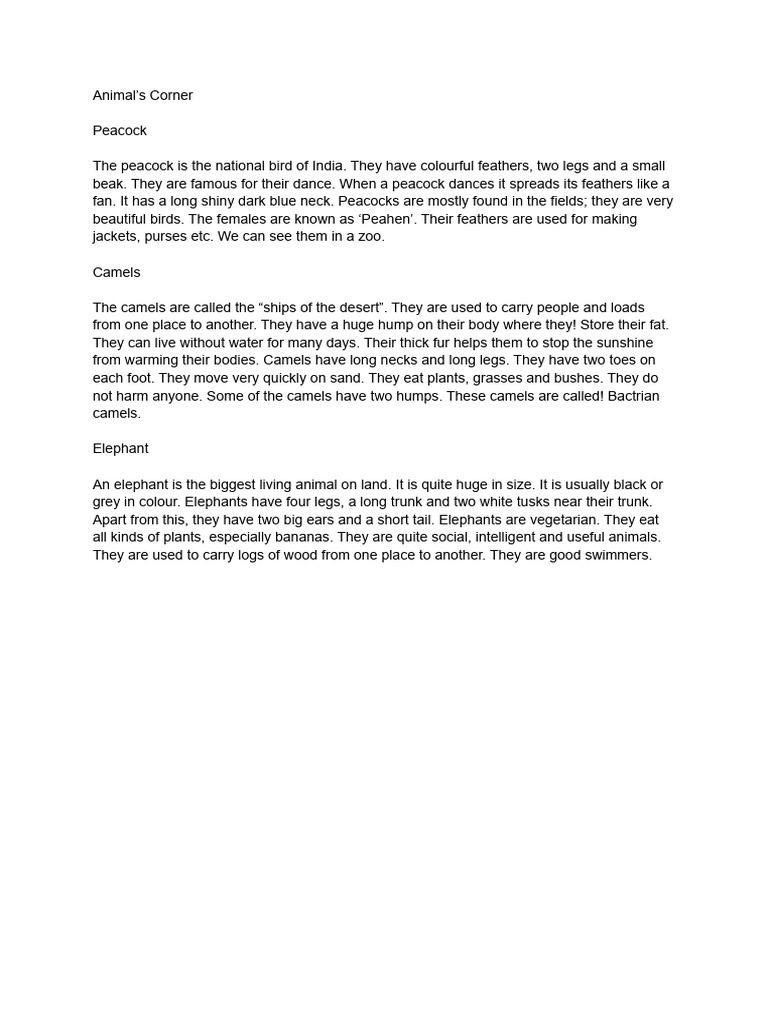 Year+4+ +Google+Docs+ +exercise+1 | PDF | Home & Garden | Art