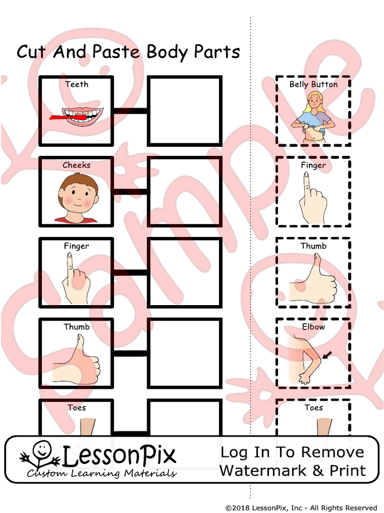 Cut+And+Paste+Body+Parts-material 4719311 | PDF
