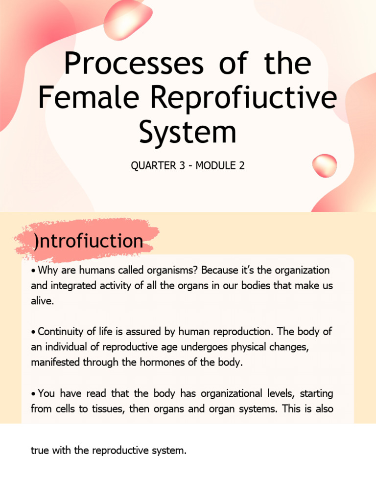 Female Reproductive System Processes | PDF