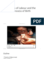 Labour - and - Birth