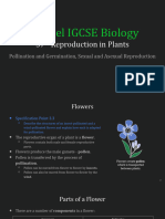 IGCSE Biology Lecture 37 Reproduction in Plants