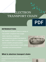 Etc PDF