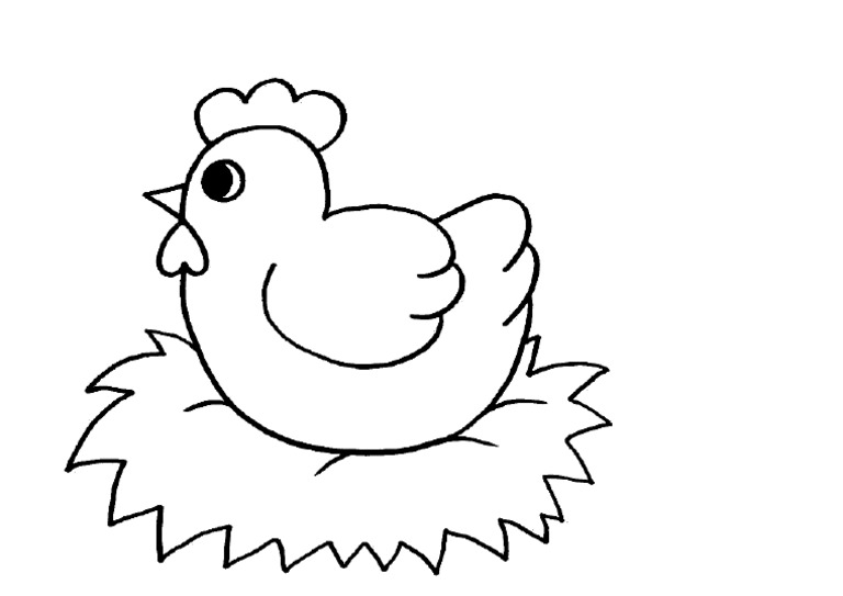 Huhn | PDF