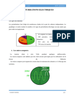 Chap2-Les Perturbatios Électriques