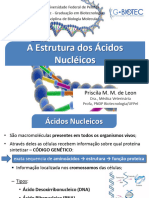 Estrutura Dos Ácidos Nucléicos