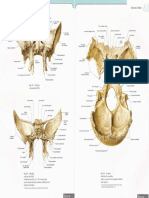 Sobotta Vol 1 Atlas de Anatomia Humana Cabeça e Pescoço 1