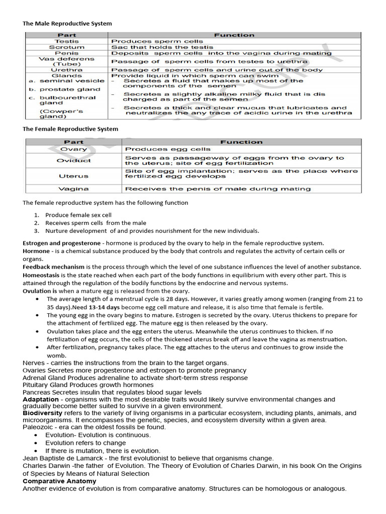 G10 3rd Quarter Reviewer PDF