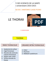 TD Anatomie Du Thorax