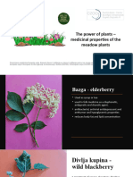 The Power of Plants - PPT of Activities