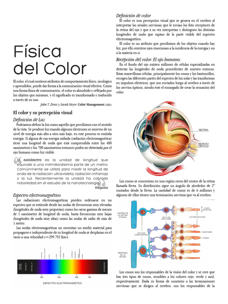 Física y Percepción del Color | PDF | Color | Percepción visual