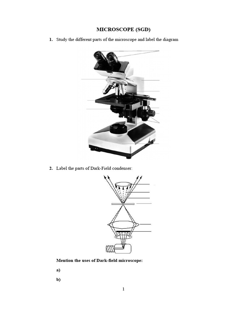 Record - For Templates Print | PDF | Elisa | Staining