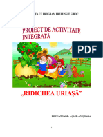 proiect_ridichea URIASA GR MICA