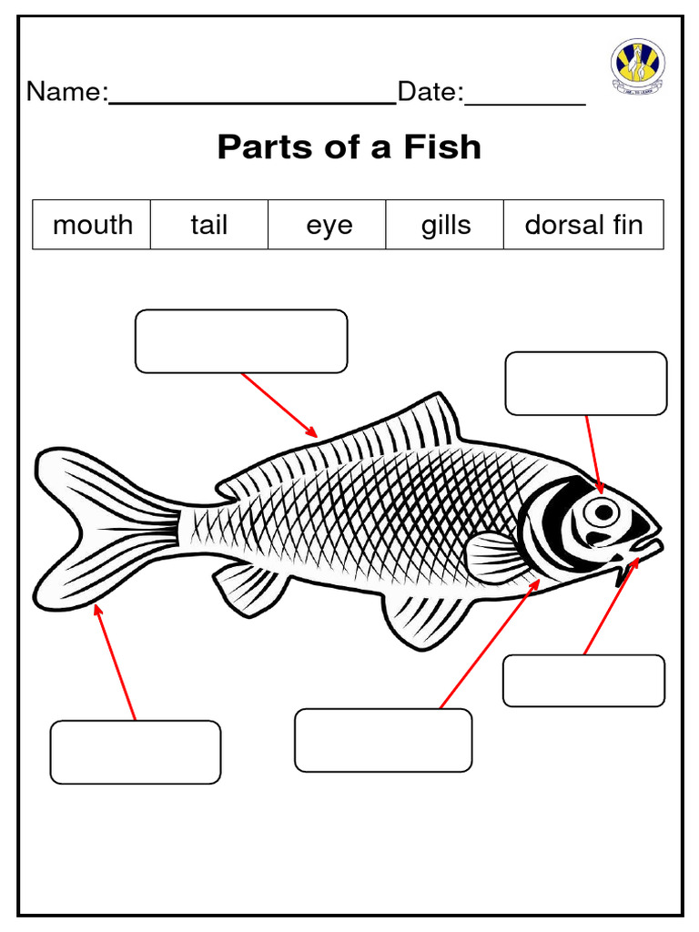 Parts of A Fish Label | PDF