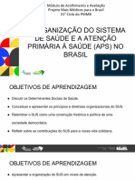 A Organização Do Sistema de Saúde e A Atenção Primária À Saúde (APS) No Brasil