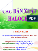 Dan Xuat Halogen